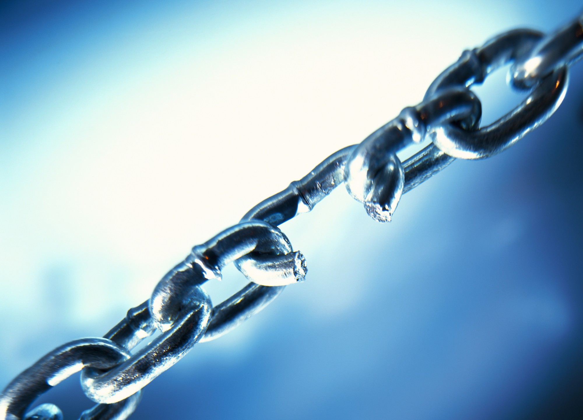 Всемирный день борьбы с торговлей людьми